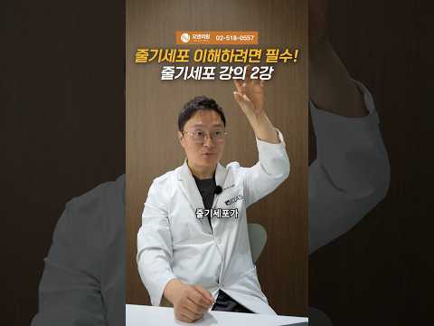 줄기세포 이해하려면 필수! 줄기세포 강의 2강: 시술 전 필수 가이드