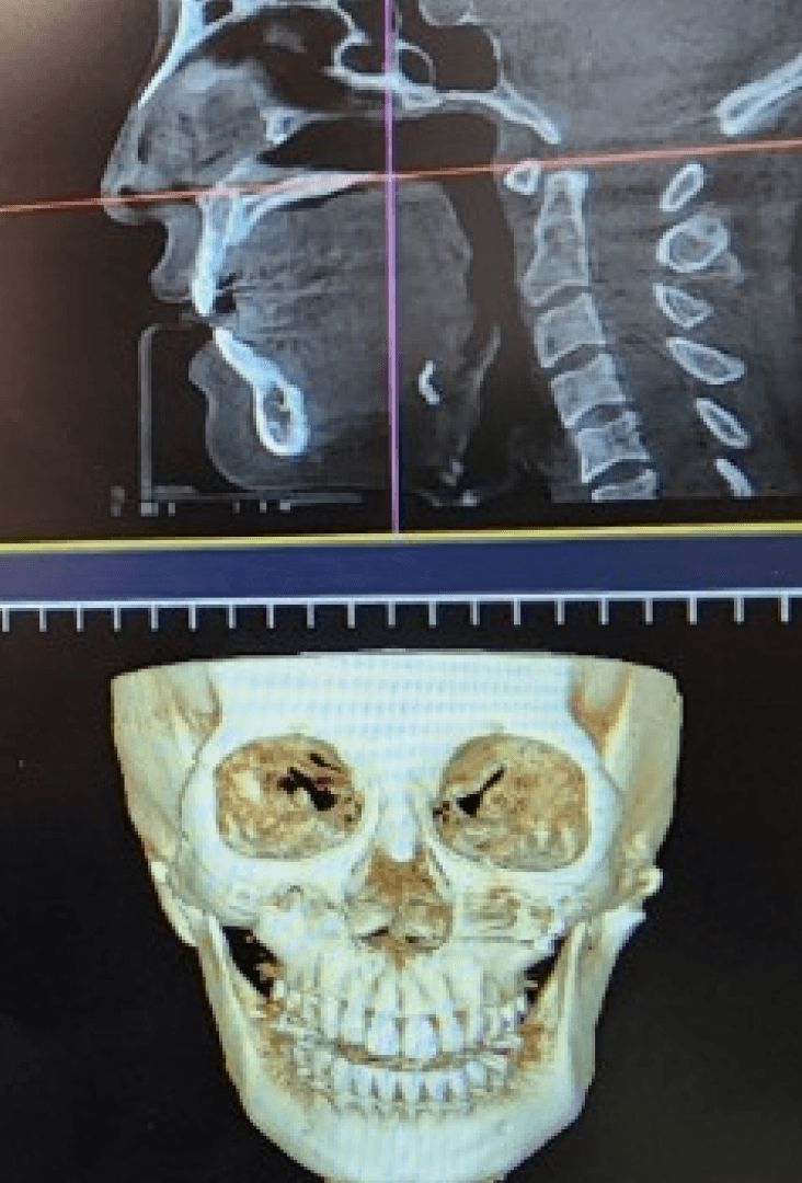 Anatomical Design by Physicians