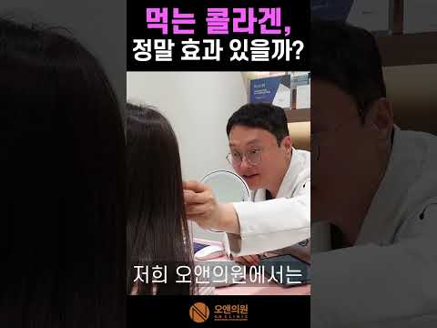 먹는 콜라겐 정말 효과 있을까? — 흡수율과 임상 근거 정리